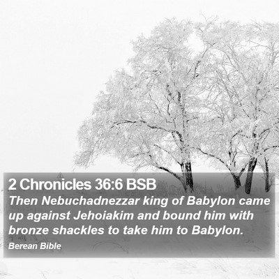 2 Chronicles 36:6 BSB Bible Verse Image