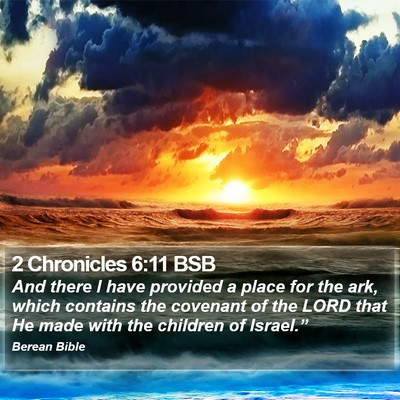 2 Chronicles 6:11 BSB Bible Verse Image