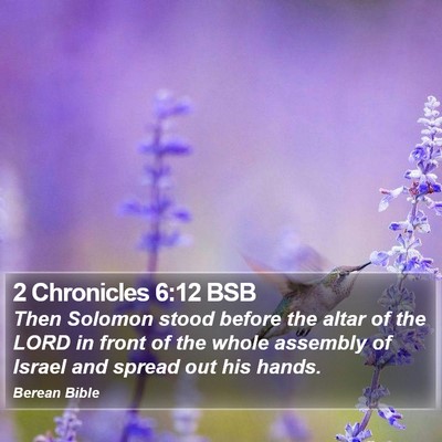 2 Chronicles 6:12 BSB Bible Verse Image