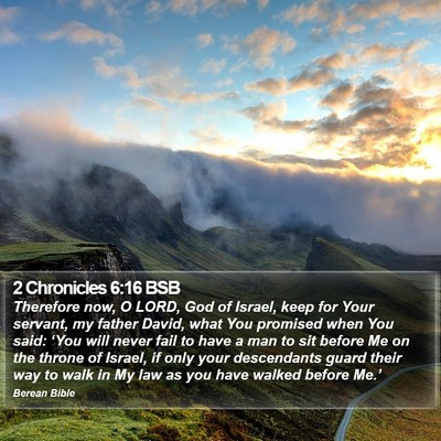2 Chronicles 6:16 BSB Bible Verse Image