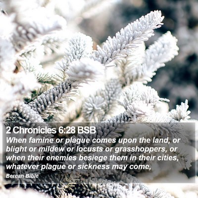 2 Chronicles 6:28 BSB Bible Verse Image