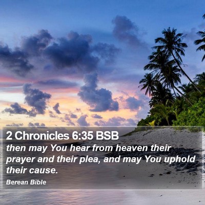 2 Chronicles 6:35 BSB Bible Verse Image