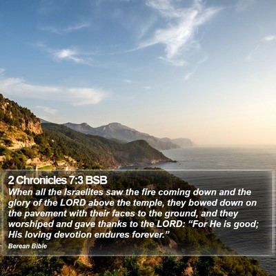 2 Chronicles 7:3 BSB Bible Verse Image
