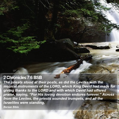2 Chronicles 7:6 BSB Bible Verse Image
