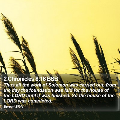 2 Chronicles 8:16 BSB Bible Verse Image