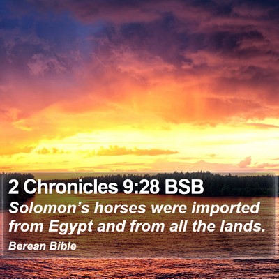 2 Chronicles 9:28 BSB Bible Verse Image