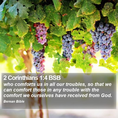 2 Corinthians 1:4 BSB Bible Verse Image