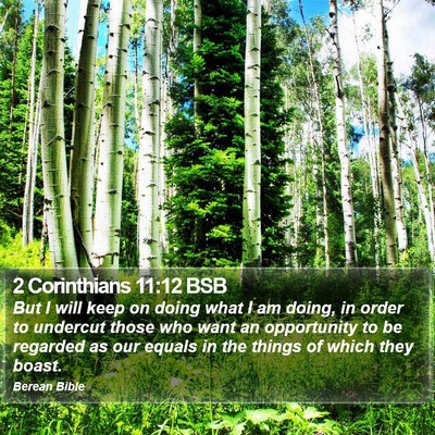 2 Corinthians 11:12 BSB Bible Verse Image