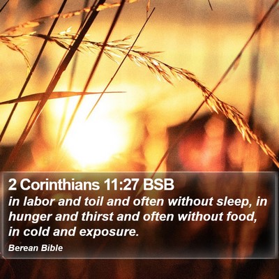 2 Corinthians 11:27 BSB Bible Verse Image