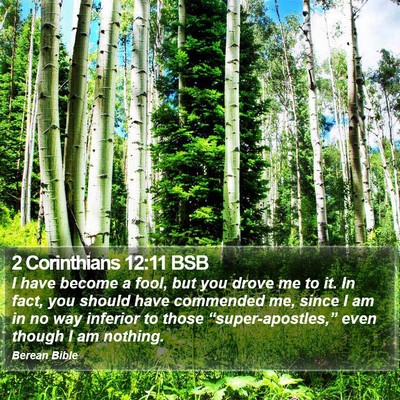 2 Corinthians 12:11 BSB Bible Verse Image