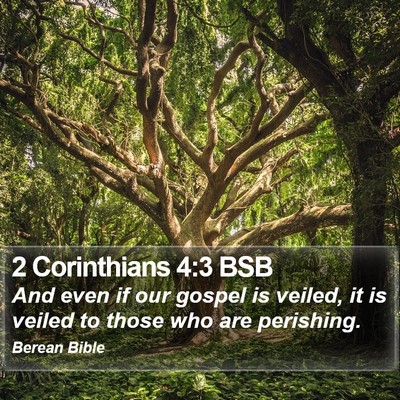 2 Corinthians 4:3 BSB Bible Verse Image