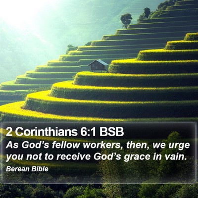 2 Corinthians 6:1 BSB Bible Verse Image