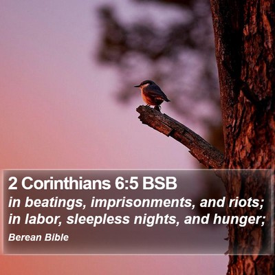 2 Corinthians 6:5 BSB Bible Verse Image