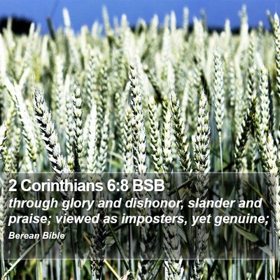 2 Corinthians 6:8 BSB Bible Verse Image