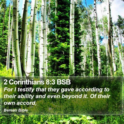 2 Corinthians 8:3 BSB Bible Verse Image