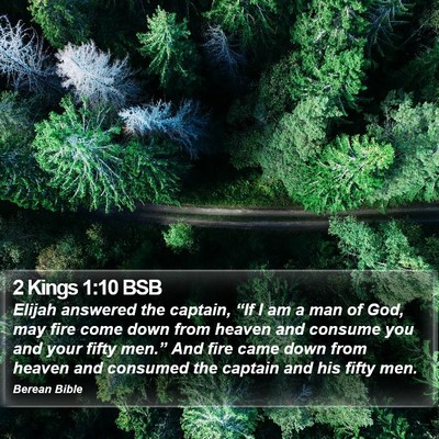 2 Kings 1:10 BSB Bible Verse Image