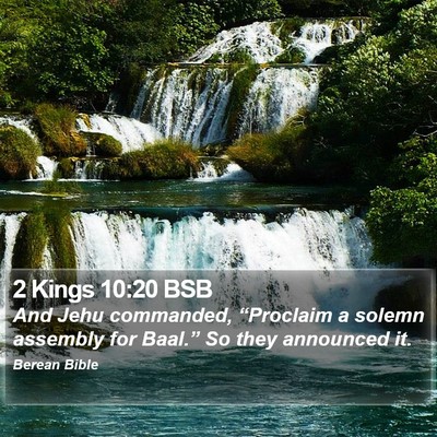 2 Kings 10:20 BSB Bible Verse Image