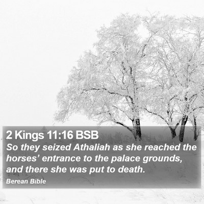 2 Kings 11:16 BSB Bible Verse Image