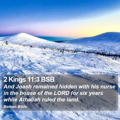 2 Kings 11:3 BSB Bible Verse Image