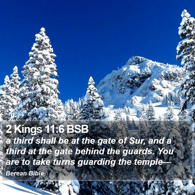 2 Kings 11:6 BSB Bible Verse Image