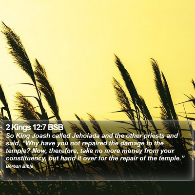 2 Kings 12:7 BSB Bible Verse Image