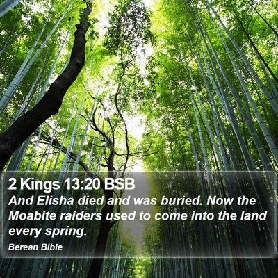 2 Kings 13:20 BSB Bible Verse Image