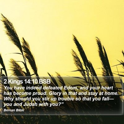 2 Kings 14:10 BSB Bible Verse Image