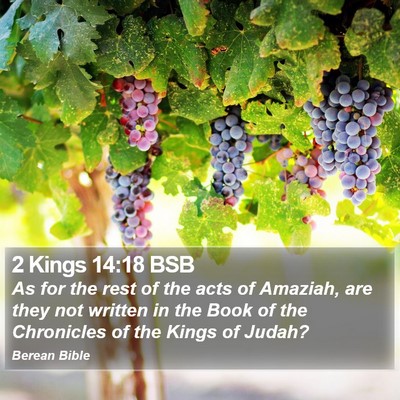2 Kings 14:18 BSB Bible Verse Image