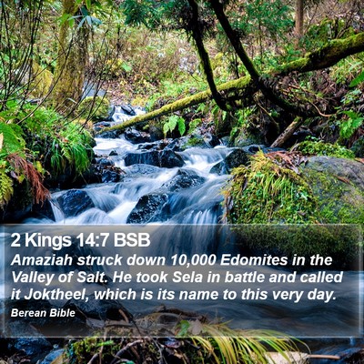 2 Kings 14:7 BSB Bible Verse Image