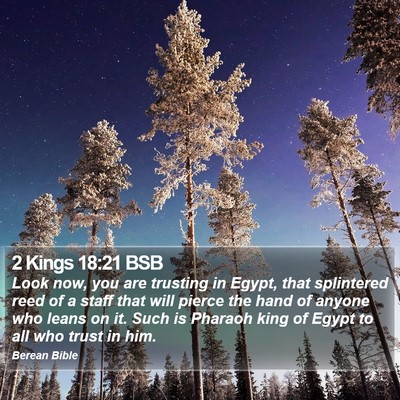 2 Kings 18:21 BSB Bible Verse Image