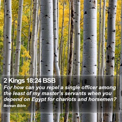 2 Kings 18:24 BSB Bible Verse Image