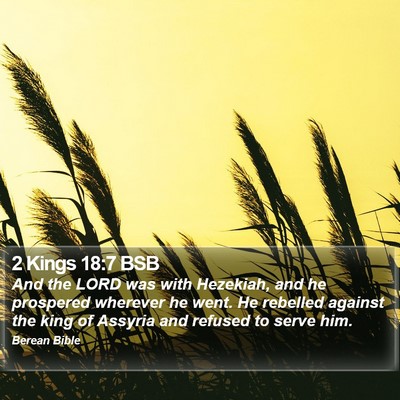 2 Kings 18:7 BSB Bible Verse Image