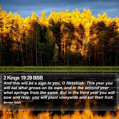 2 Kings 19:29 BSB Bible Verse Image