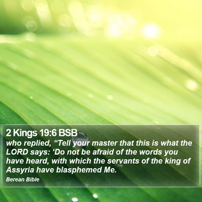 2 Kings 19:6 BSB Bible Verse Image