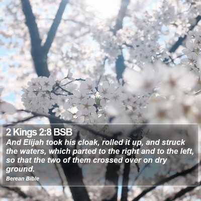 2 Kings 2:8 BSB Bible Verse Image