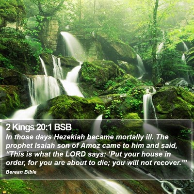2 Kings 20:1 BSB Bible Verse Image