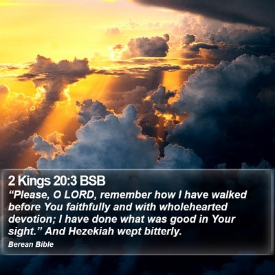 2 Kings 20:3 BSB Bible Verse Image