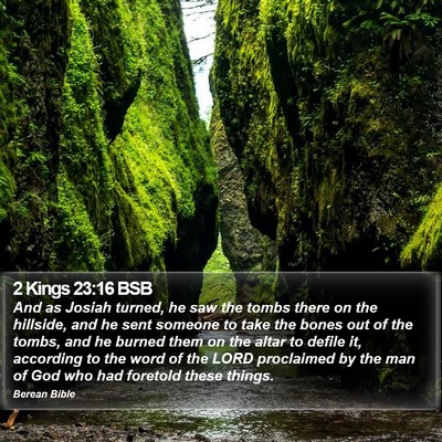 2 Kings 23:16 BSB Bible Verse Image