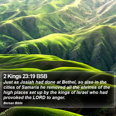 2 Kings 23:19 BSB Bible Verse Image