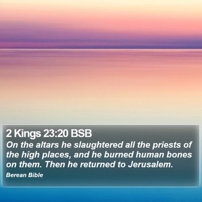 2 Kings 23:20 BSB Bible Verse Image