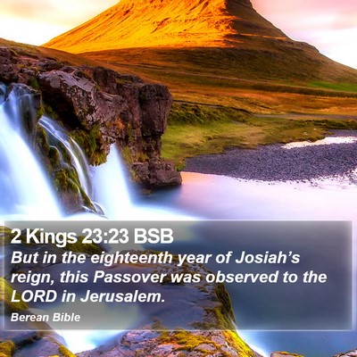 2 Kings 23:23 BSB Bible Verse Image