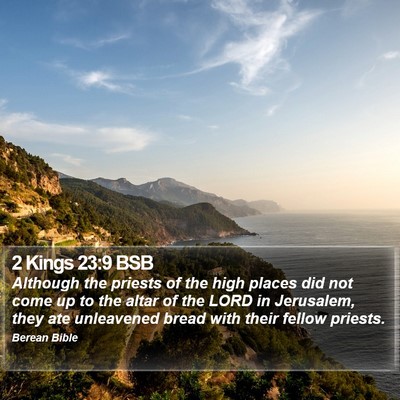 2 Kings 23:9 BSB Bible Verse Image