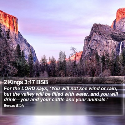 2 Kings 3:17 BSB Bible Verse Image
