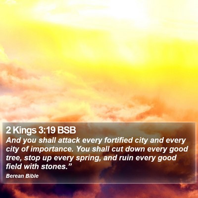 2 Kings 3:19 BSB Bible Verse Image