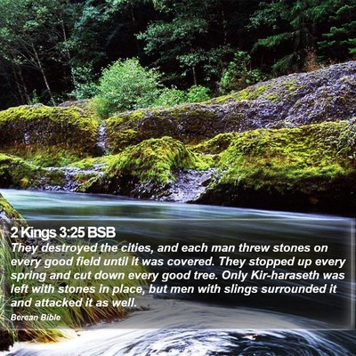 2 Kings 3:25 BSB Bible Verse Image