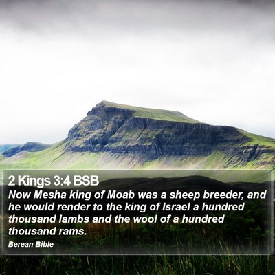 2 Kings 3:4 BSB Bible Verse Image