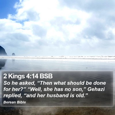 2 Kings 4:14 BSB Bible Verse Image