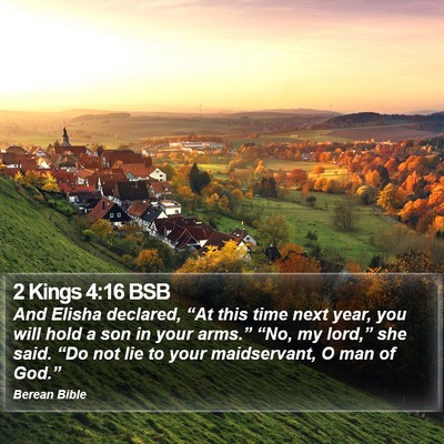 2 Kings 4:16 BSB Bible Verse Image