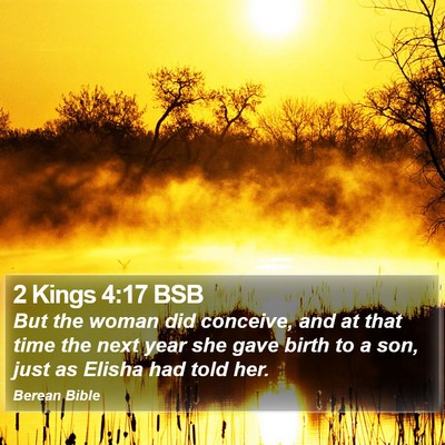 2 Kings 4:17 BSB Bible Verse Image