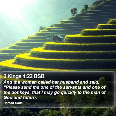 2 Kings 4:22 BSB Bible Verse Image